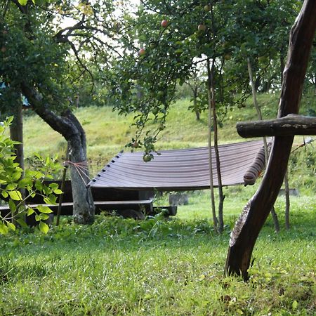Садиба Під Гострою Zhdeniievo Exterior photo