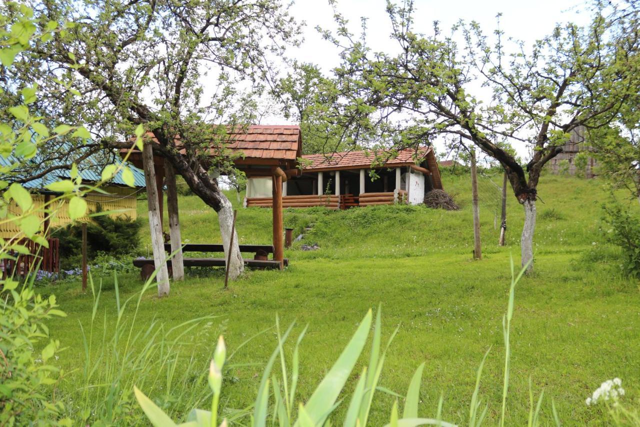 Садиба Під Гострою Zhdeniievo Exterior photo